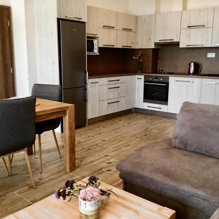 Apartman Horni Misecky 437 Kültér fotó